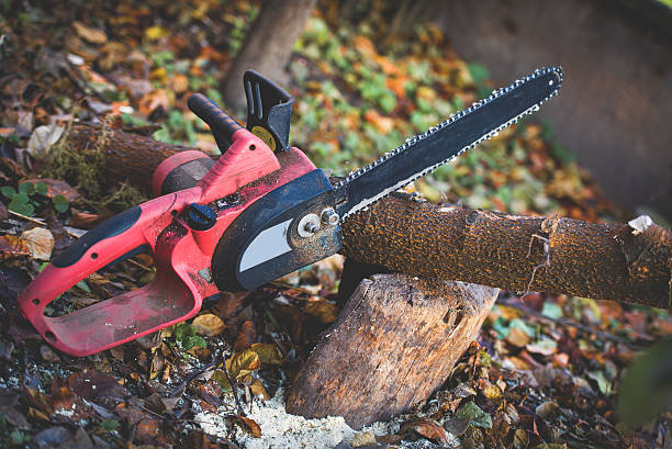 Best Arborist Consultation Services  in Chester, WV